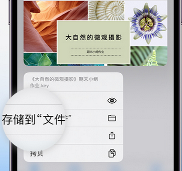 婺源apple维修中心分享iPhone文件应用中存储和找到下载文件