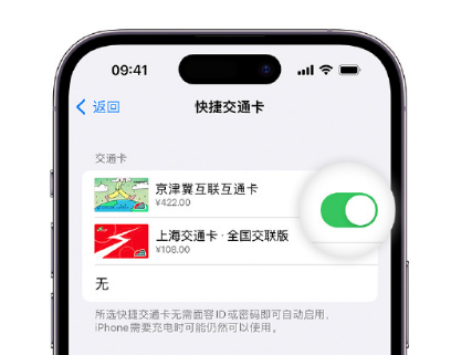 婺源apple维修点分享iPhone上更换Apple Pay快捷交通卡手绘卡面 