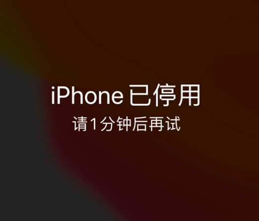 婺源苹果手机维修分享:iPhone 显示“不可用”或“已停用”怎么办？还能保留数据吗？ 