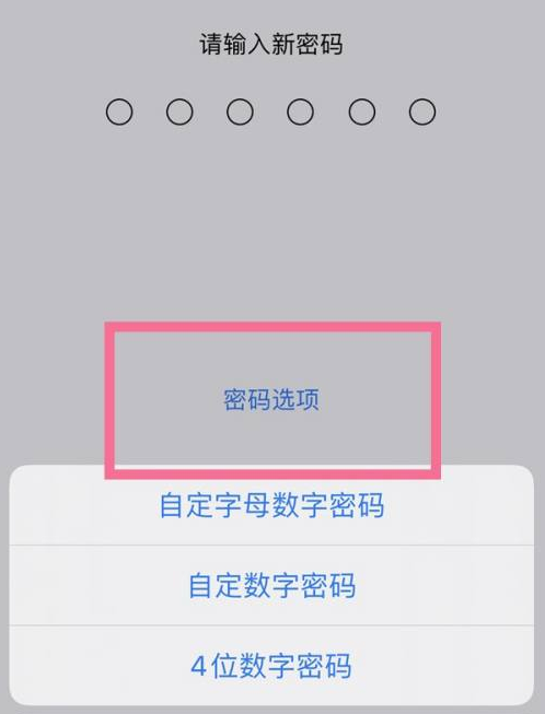 婺源苹果14维修分享iPhone 14plus设置密码的方法 