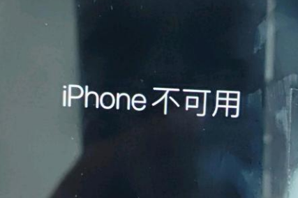 婺源苹果服务网点分享锁屏界面显示“iPhone 不可用”如何解决 