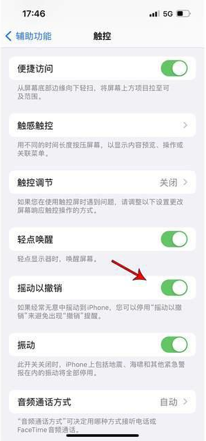 婺源苹果手机维修分享iPhone手机如何设置摇一摇删除文字 