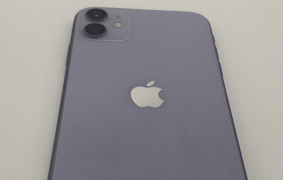 婺源苹果11系统维修分享iPhone11手机系统崩溃无法开机如何解决